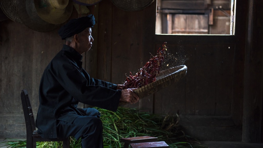 Man Working Peppers Traditional  - mercierzeng / Pixabay