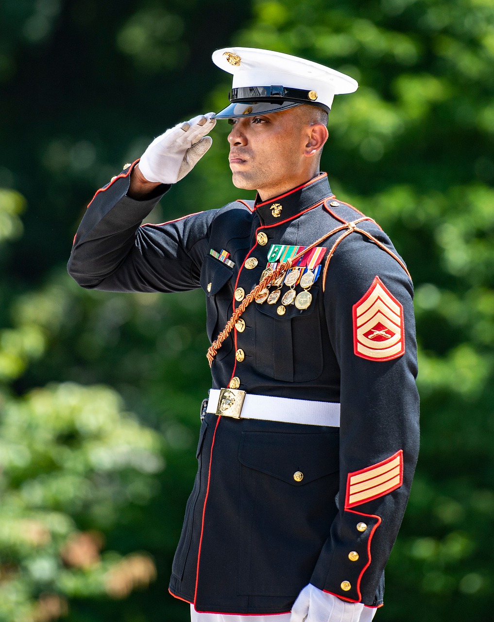Marines Man Usmc Military Uniform  - alavays / Pixabay