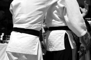 martial arts aikido japan 116542