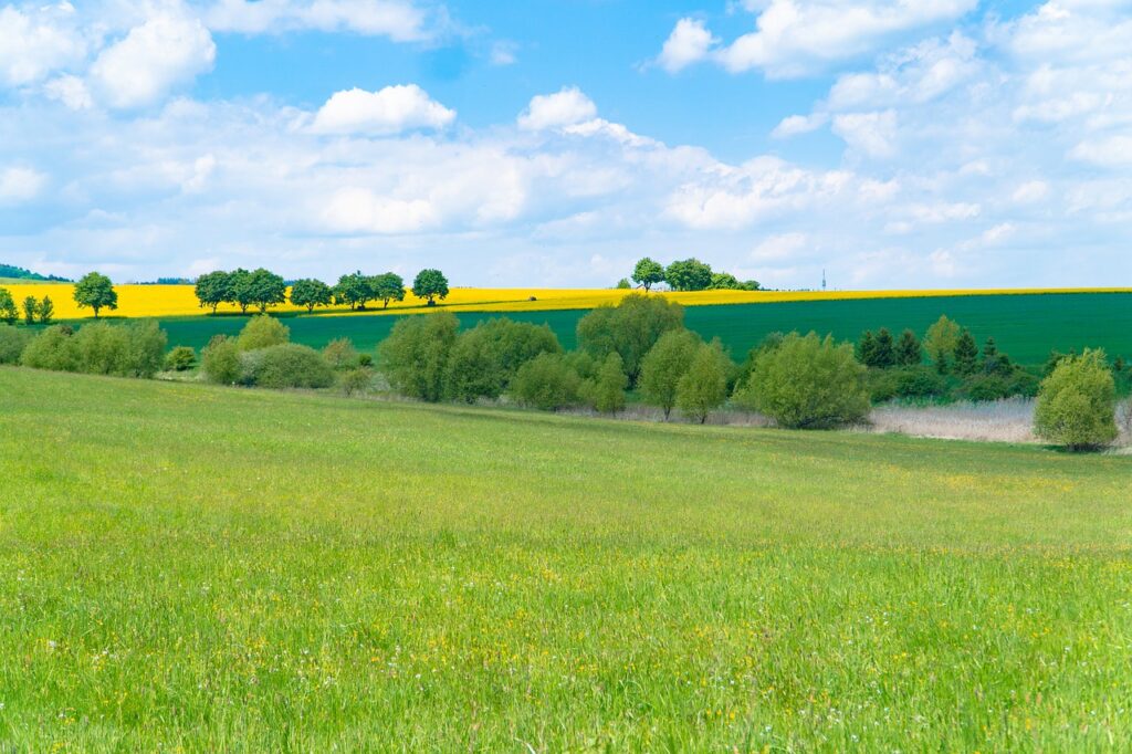 Meadow Nature Sky Summer Field  - iniesta44 / Pixabay