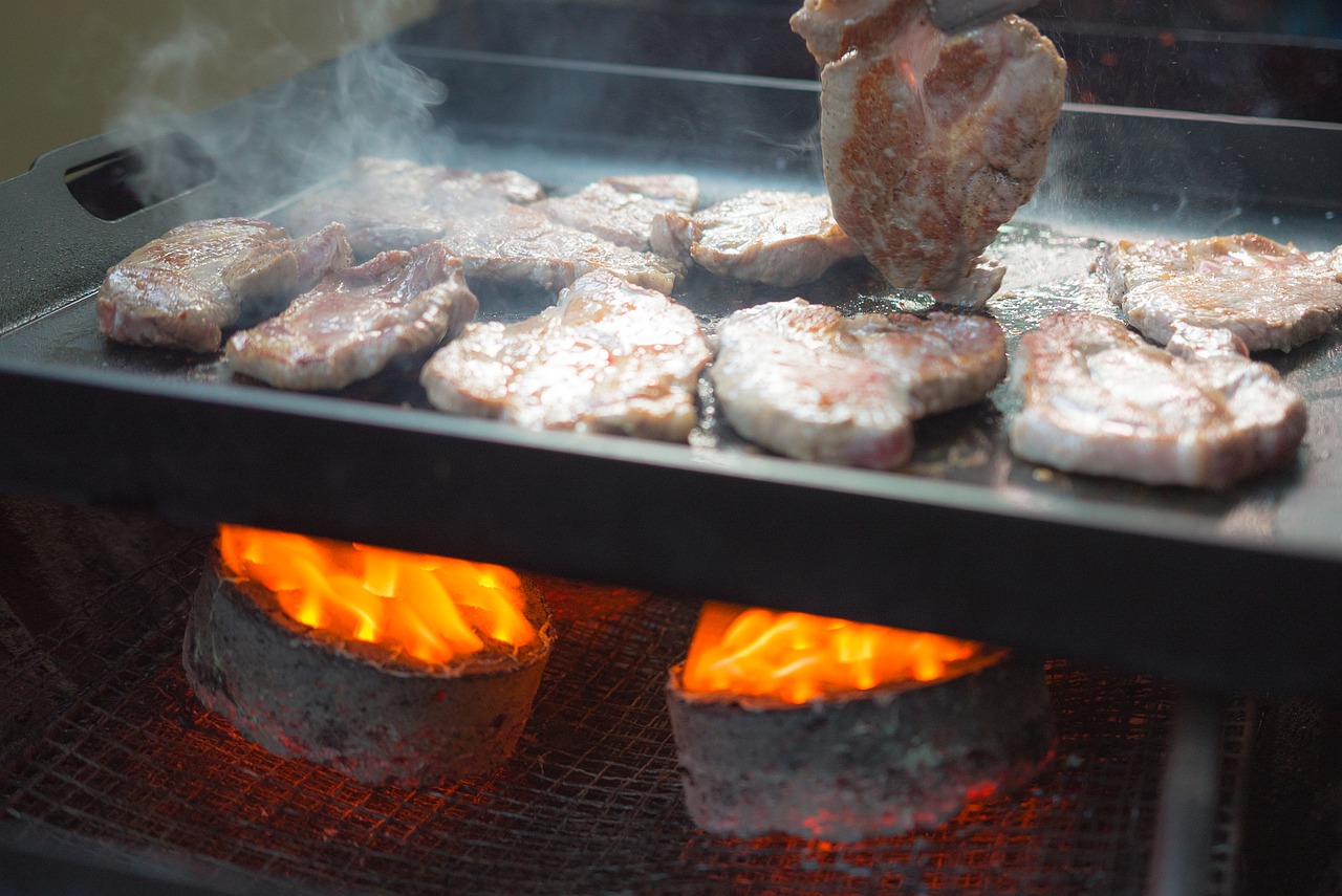 Meat Pork Cooking Barbecue Grilled - fudowakira0 / Pixabay