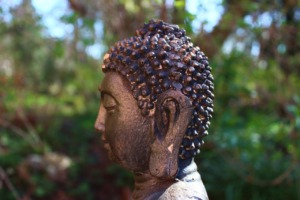 Meditation Buddha Zen Relaxation  - gabalro / Pixabay