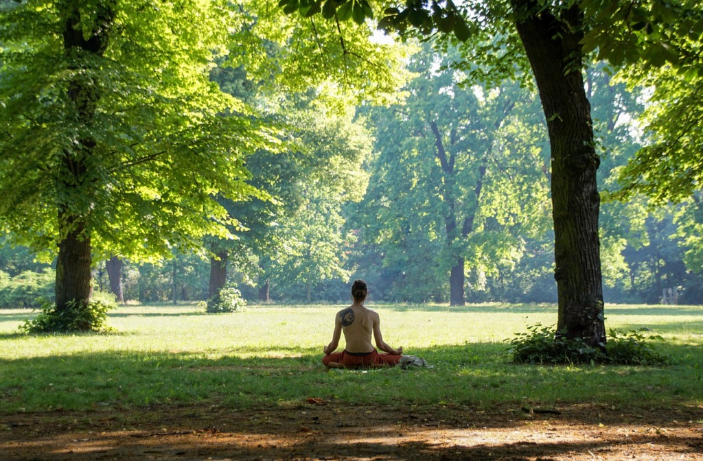 Meditation Man Park Field Meditate  - wal_172619 / Pixabay