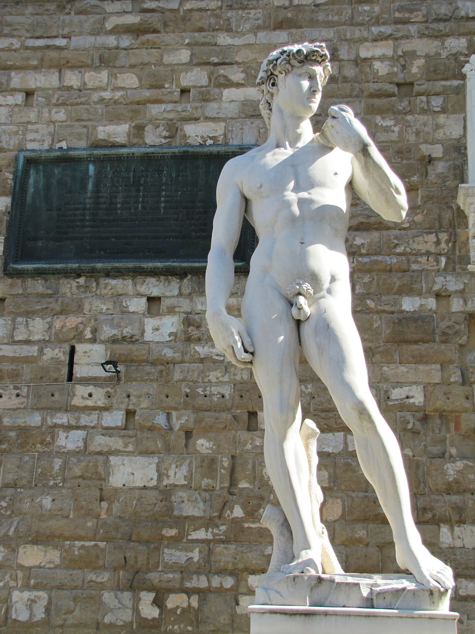 Michelangelo S David Statue - 21150 / Pixabay