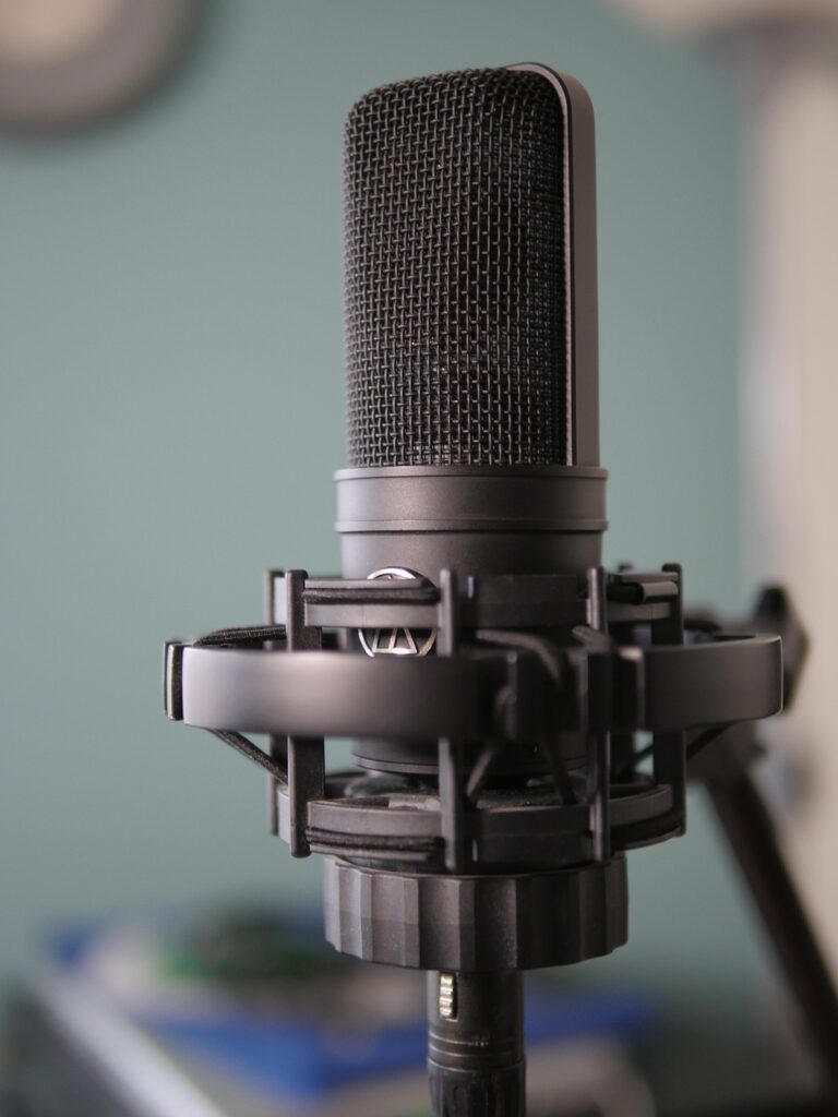 Microphone Recording Equipment  - stevebrodie / Pixabay