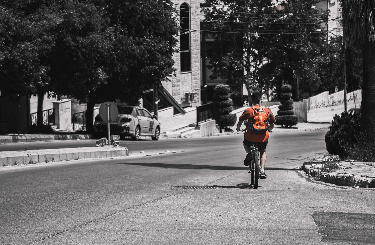 Middle East Black Orange Boy  - DanielTwal / Pixabay