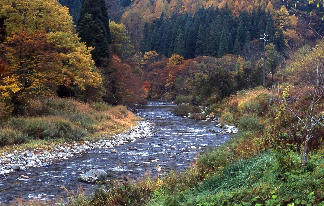 Miyama Stream Autumn River Creek - toytoy1019 / Pixabay