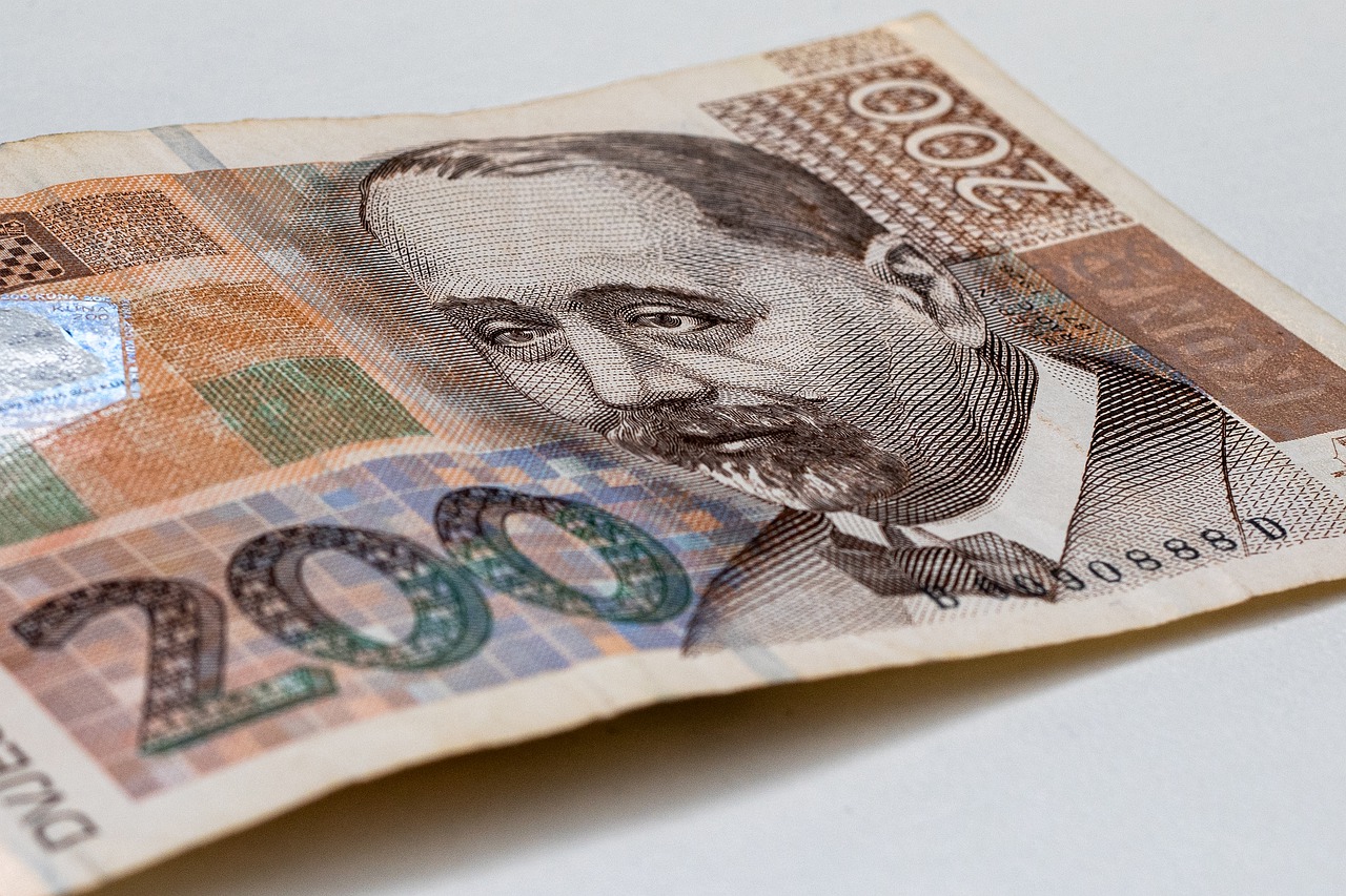 Money Banknote Cash Bill Macro  - Dusan_Cvetanovic / Pixabay