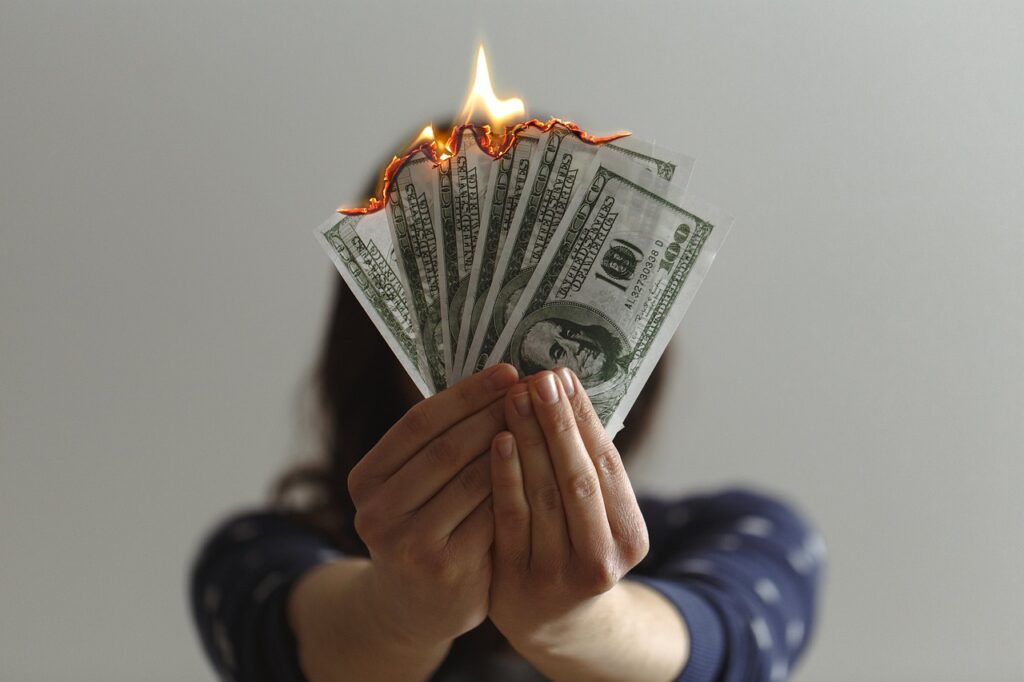 Money Cash Burning Burning Cash  - Gunjan2021 / Pixabay