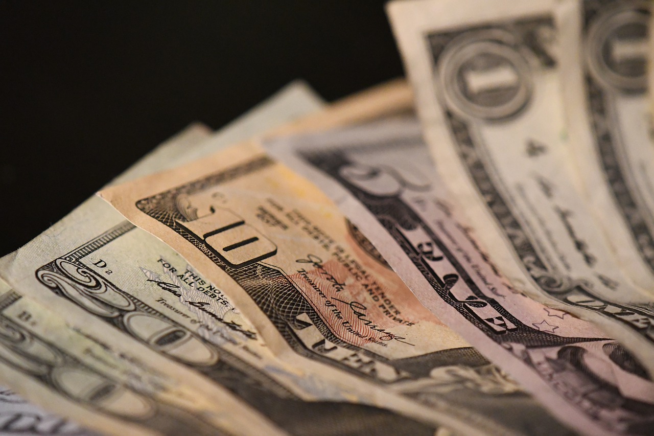 Money Cash Dollar Currency Bill  - jillianwashere / Pixabay