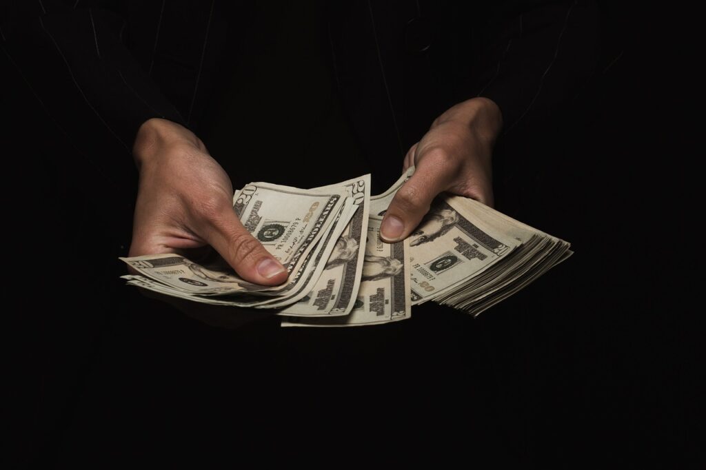 Money Dollars Hand Expenses Bills  - housemind78 / Pixabay