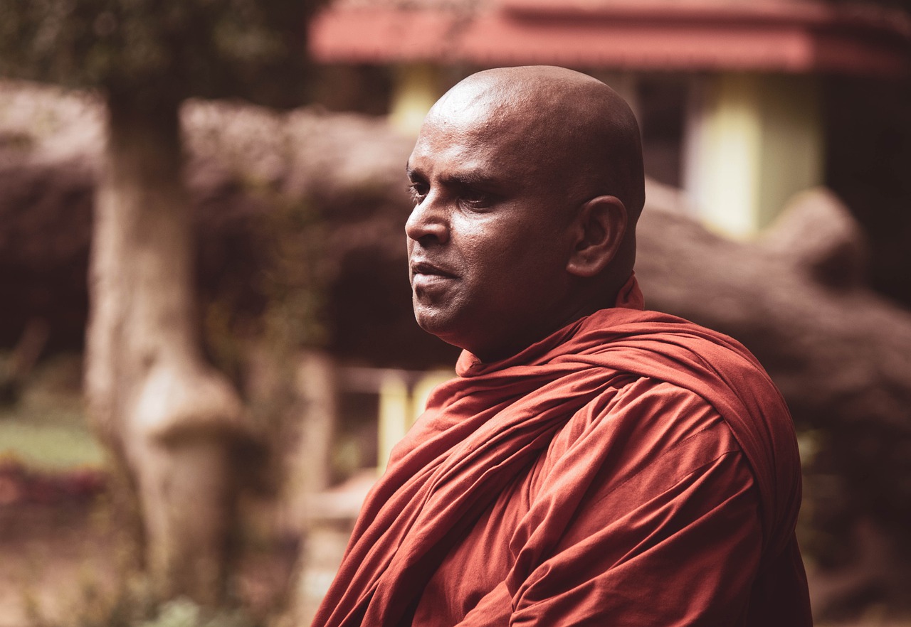 Monk Buddhist Monk Temple Recluse  - kalyanayahaluwo / Pixabay