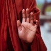 Monk Hand Mudra Gesture Meditation  - kalyanayahaluwo / Pixabay