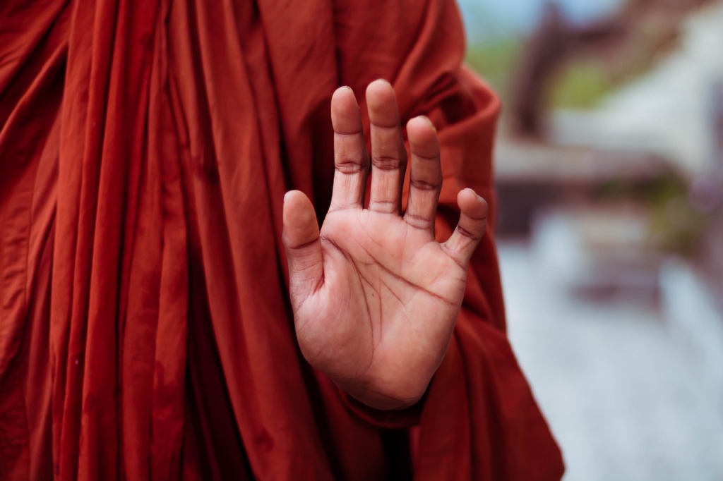 Monk Hand Mudra Gesture Meditation  - kalyanayahaluwo / Pixabay