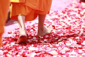 monk walking rose petals buddhism 458491
