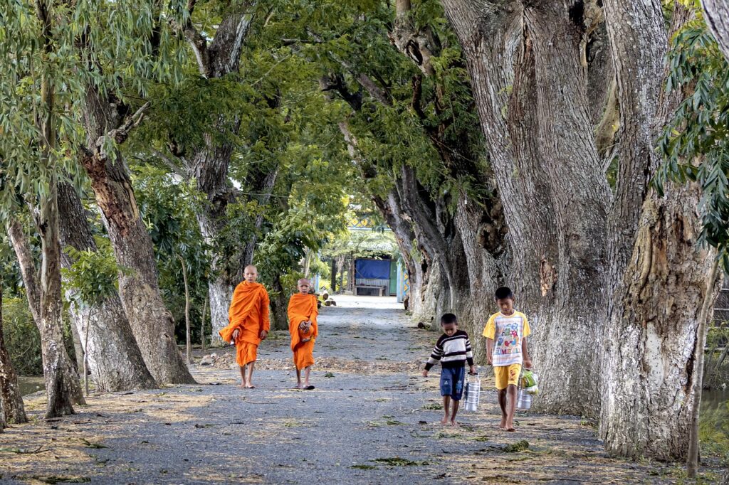 Monk Young Tree Road Way  - vietnguyenbui / Pixabay