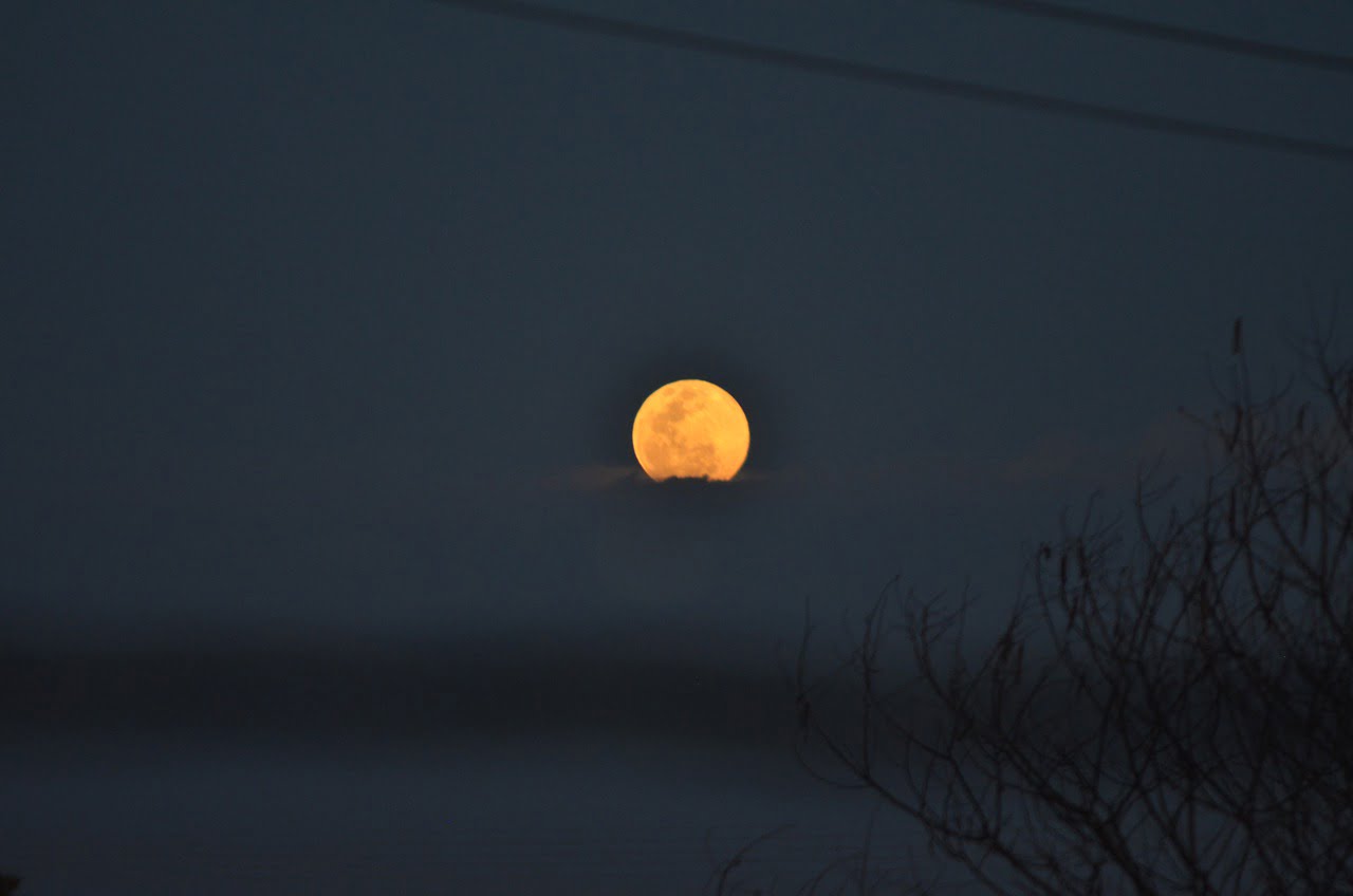 Moon Full Liver Rosa Close  - juanmt19 / Pixabay