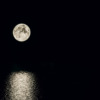 Moon Sky Sea Moonlight Light  - Avia5 / Pixabay