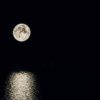 Moon Sky Sea Moonlight Light - Avia5 / Pixabay
