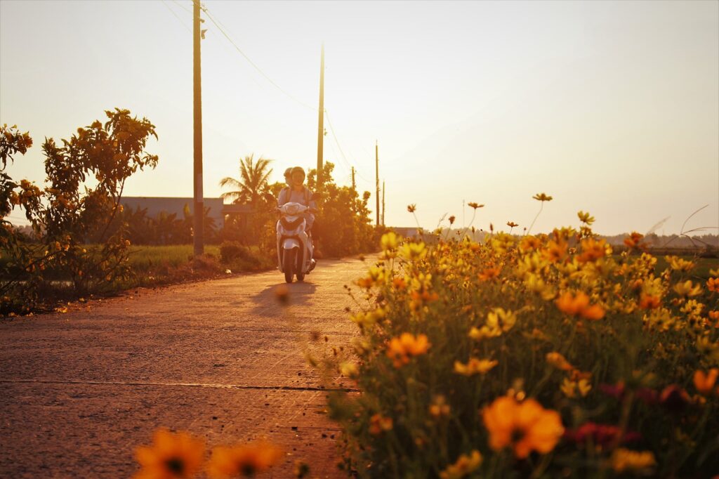 Motorcycle Road Wildflowers Flowers  - Irish83 / Pixabay