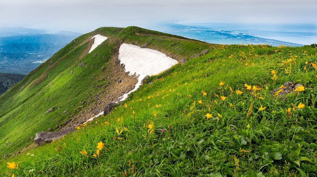 Mountain Flowers Japan Landscape  - KANENORI / Pixabay