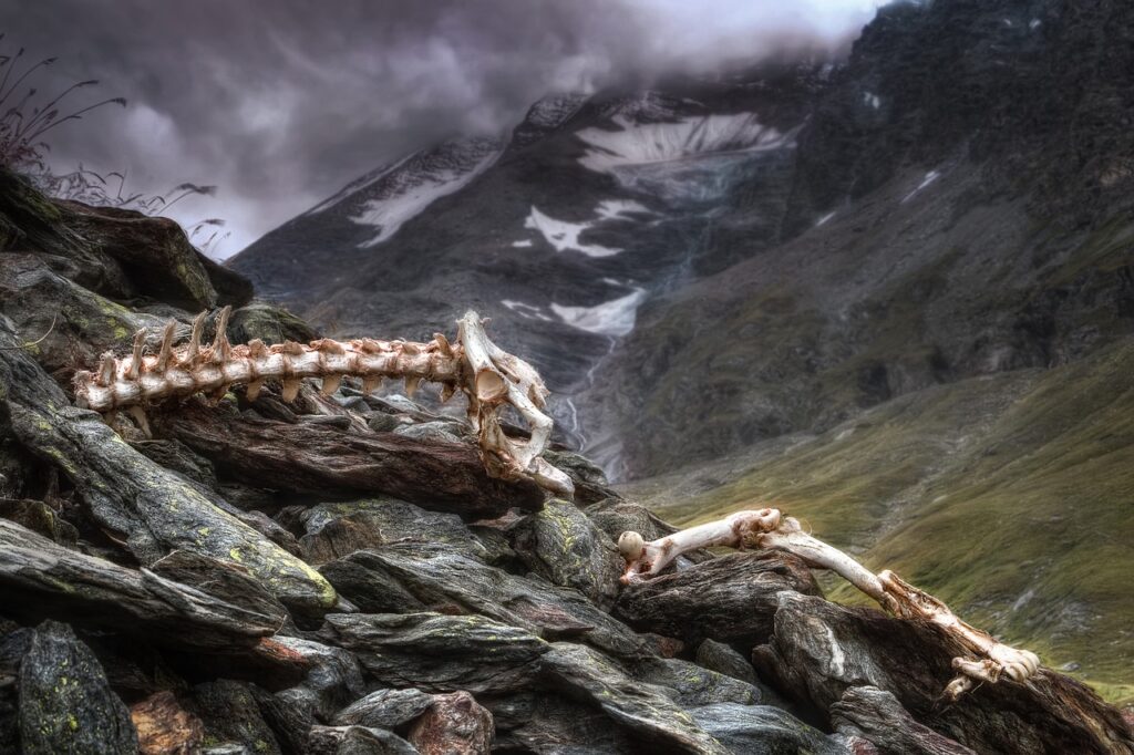 Mountain Skeleton Bones  - Camera-man / Pixabay
