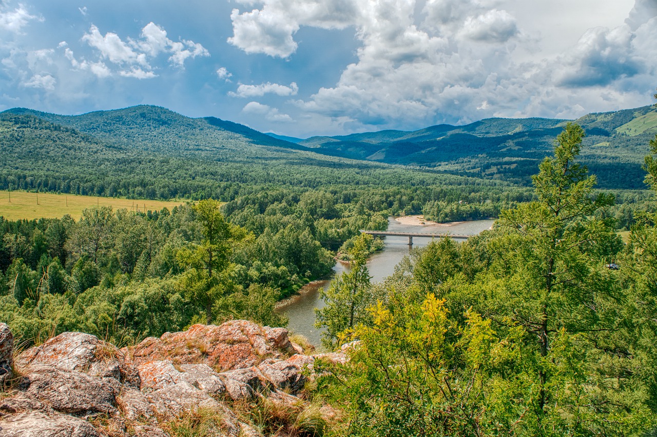 Mountains River Forest Trees  - Purgin_Alexandr / Pixabay