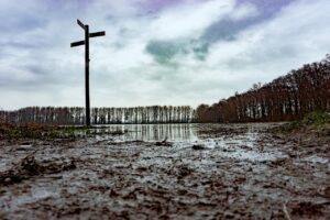 Mud Flood Trees Street Water  - ahundt / Pixabay