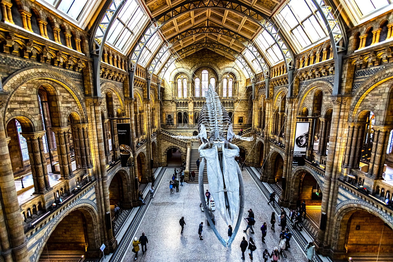 Museum England Uk Indoors Science  - hulkiokantabak / Pixabay