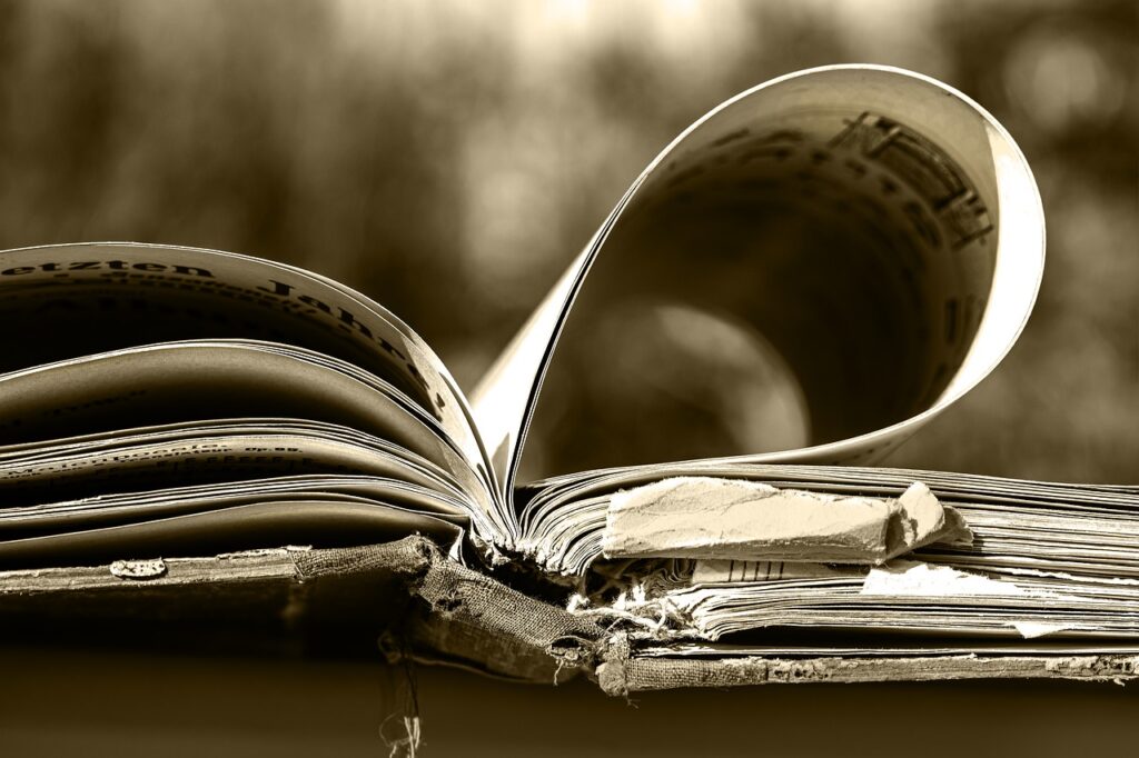 Music Book Germain Notes Tune  - Ri_Ya / Pixabay