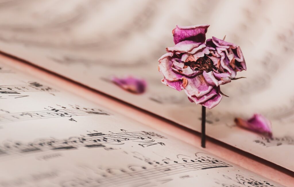 Music Sheet Dried Rose Vintage Rose  - Ri_Ya / Pixabay