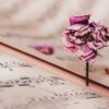 Music Sheet Dried Rose Vintage Rose  - Ri_Ya / Pixabay