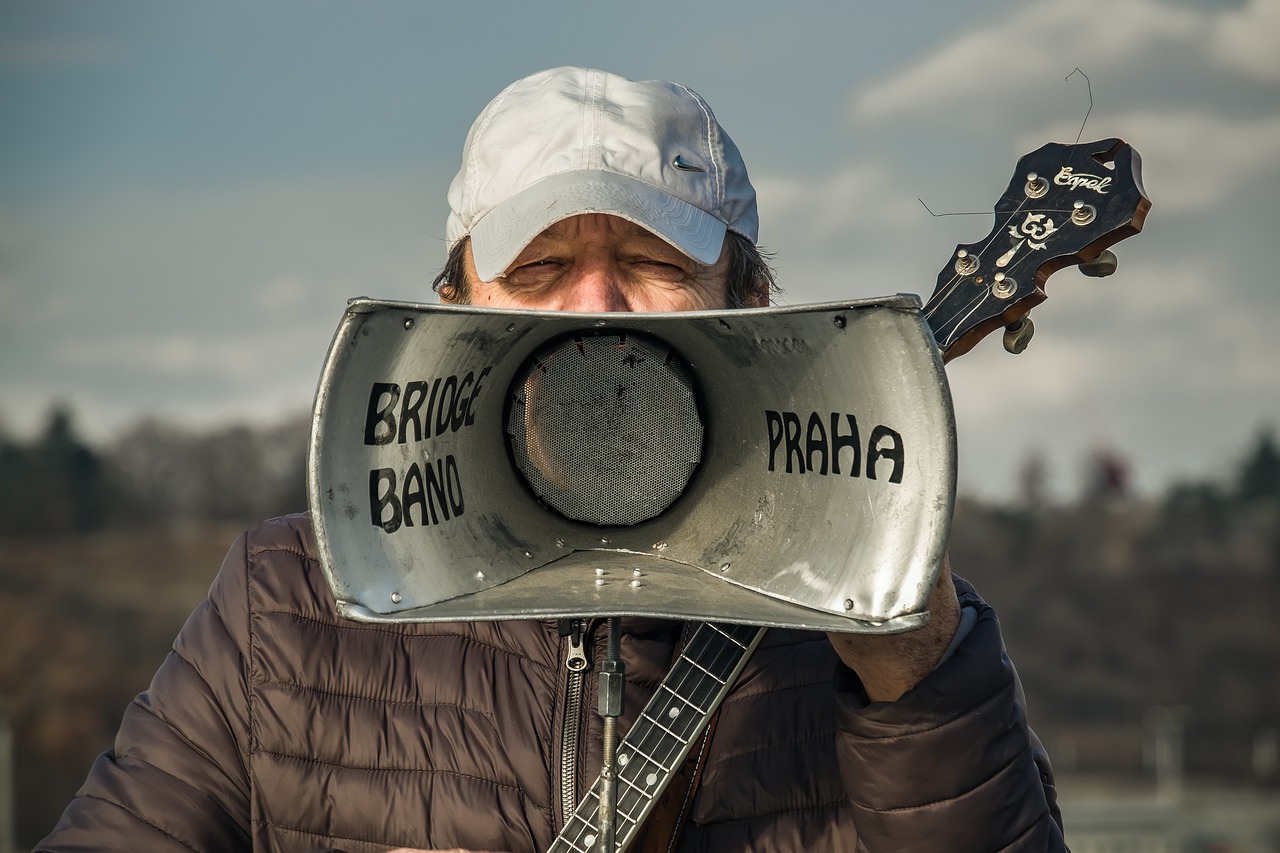 Musician Banjo Singer Cap Man  - OfotoRay / Pixabay