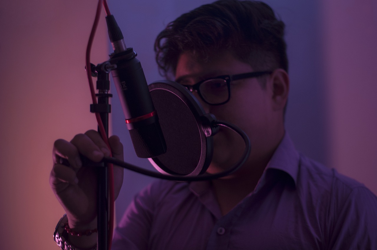 Musician Singer Microphone Music  - SantiagoGonzález_ad / Pixabay