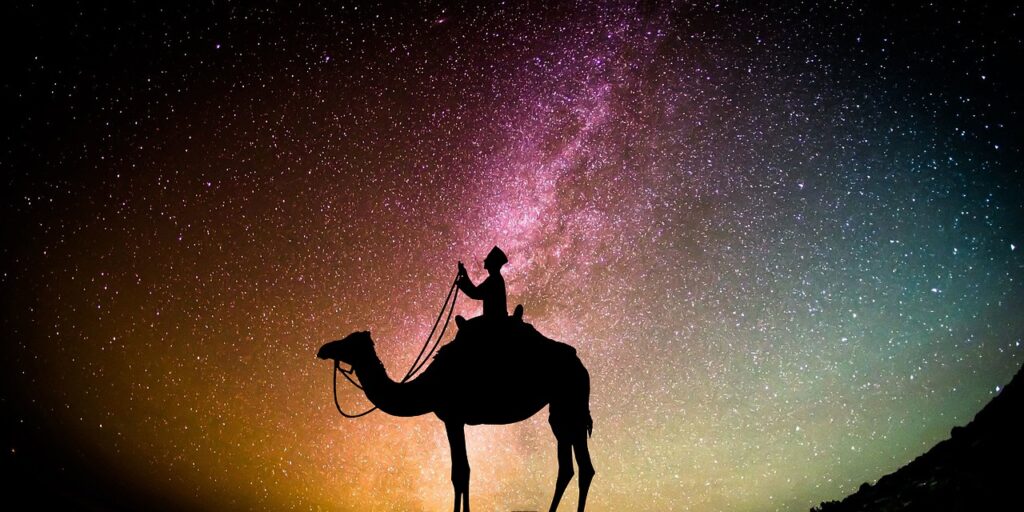Muslim Islam Camel Ramadhan  - chiplanay / Pixabay