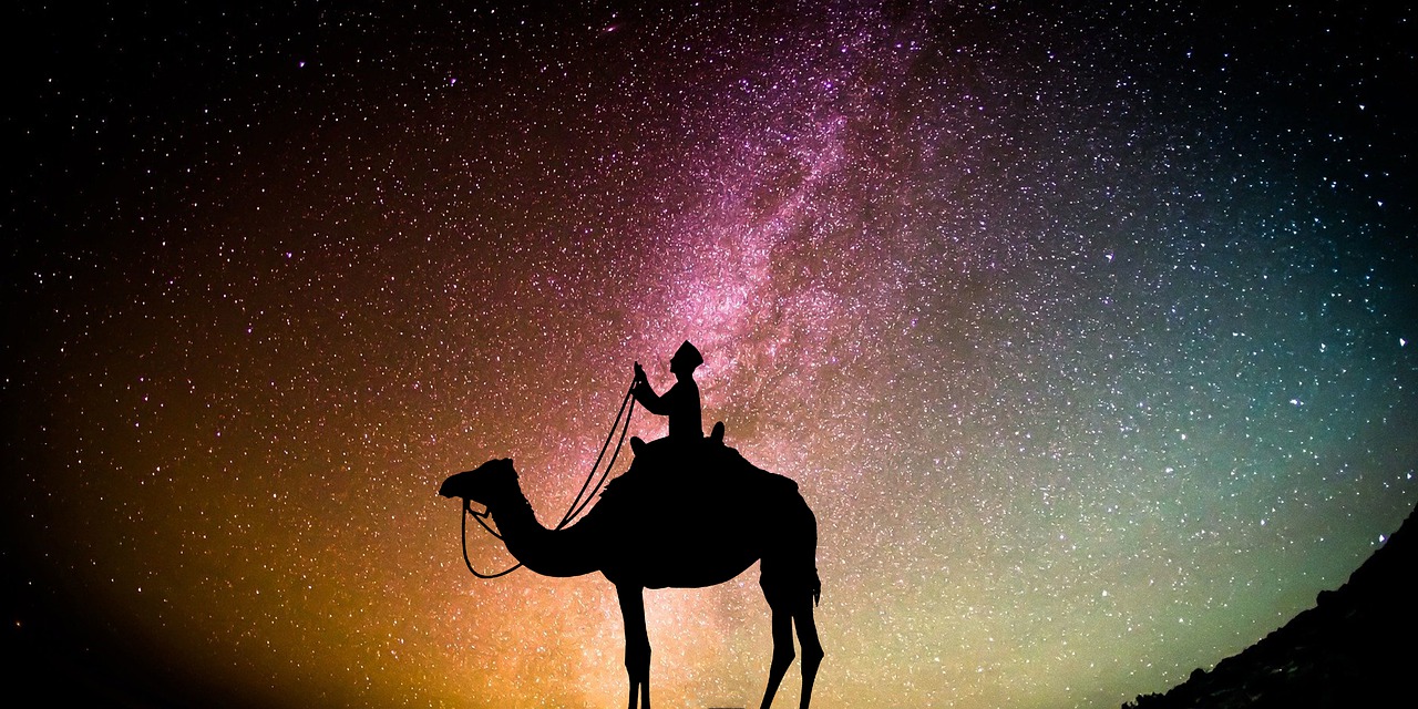 Muslim Islam Camel Ramadhan  - chiplanay / Pixabay