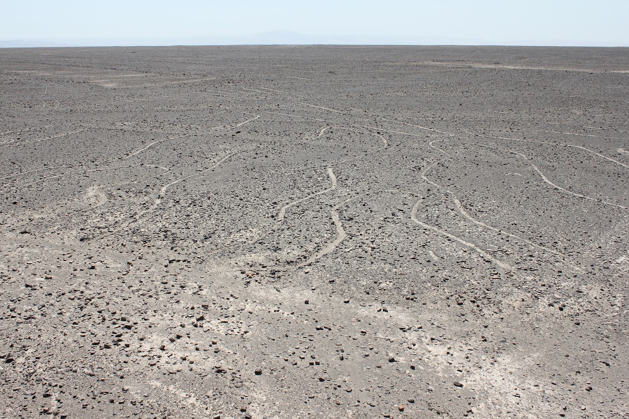 Nasca Lines Earth Peru Holiday  - CFION / Pixabay