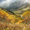 Natural Autumn Yellow Leaves  - Kanenori / Pixabay