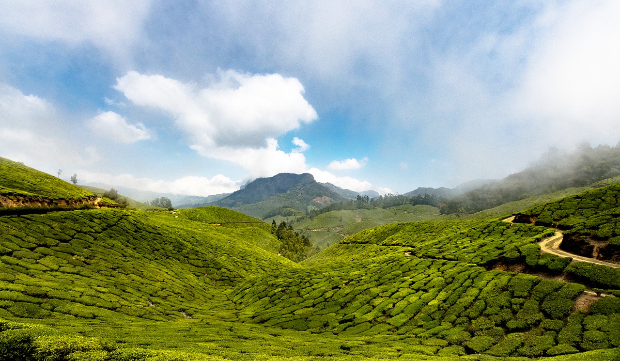Nature Landscape Earth Tea Clouds - u_483qf2ouqh / Pixabay