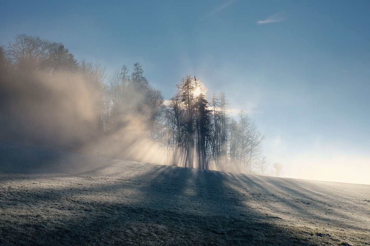 Nature Landscape Fog Foggy Forest - shogun / Pixabay