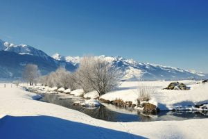 Nature Landscape Winter Wintry  - shogun / Pixabay