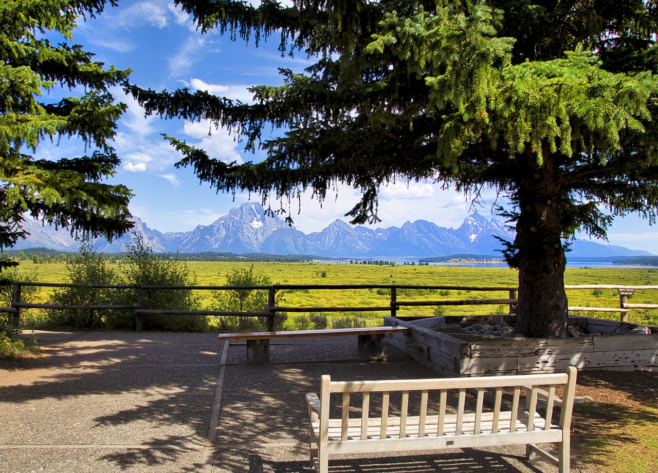 Nature Park Mountains Landscape - ProdeepAhmeed / Pixabay