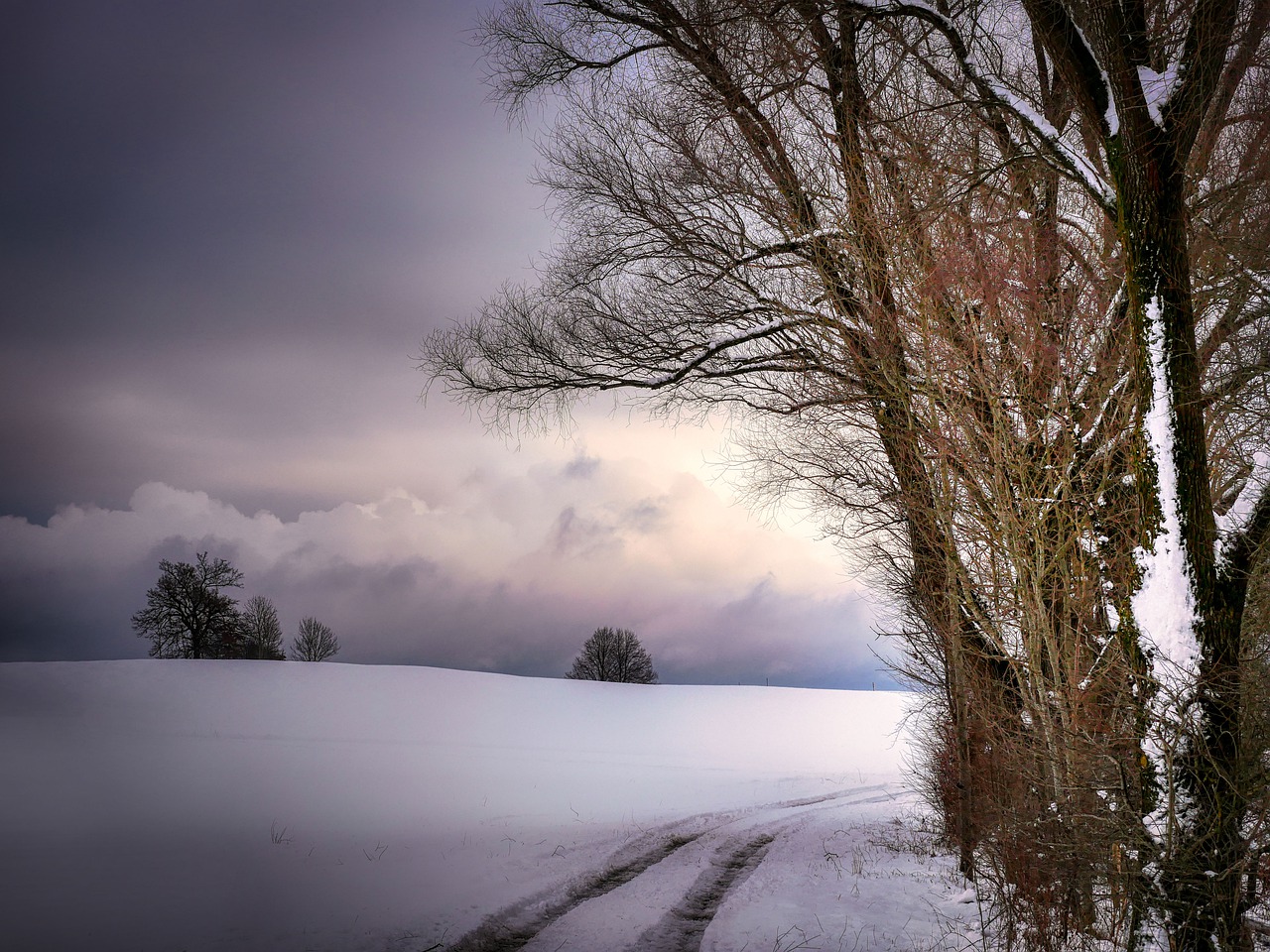 Nature Winter Season Outdoors - fietzfotos / Pixabay