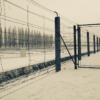 Nazi Concentration Camp Holocaust  - PabloFigueiredo / Pixabay