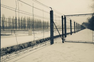 Nazi Concentration Camp Holocaust  - PabloFigueiredo / Pixabay