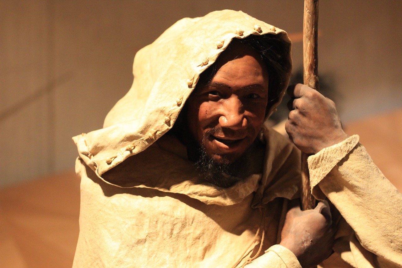 Neanderthal Stone Age Caveman - sgrunden / Pixabay