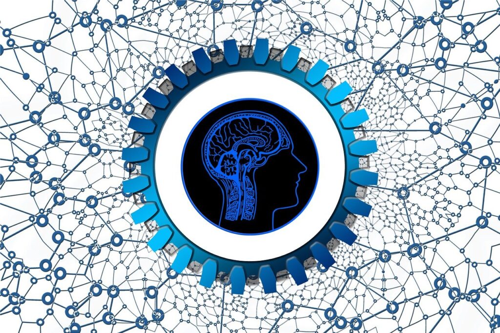 Network Brain Abstract Geometric  - geralt / Pixabay