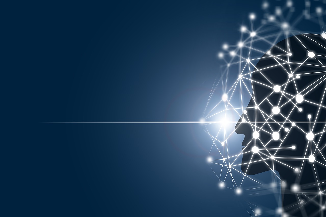 Network Digital Man Silhouette  - geralt / Pixabay