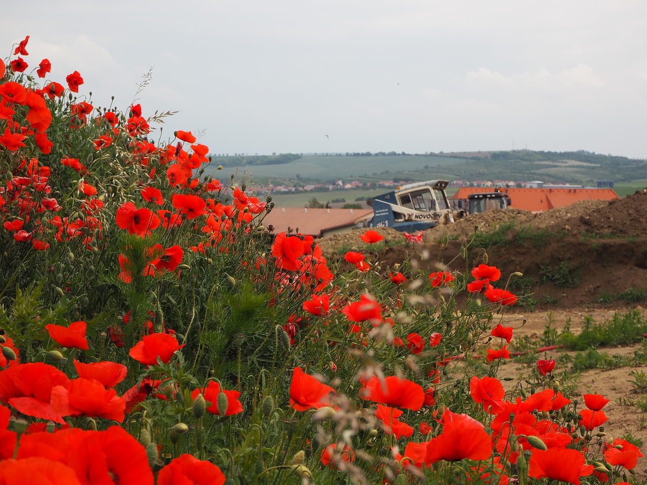 New Houses Land Field Landscape  - TheBlueBird / Pixabay