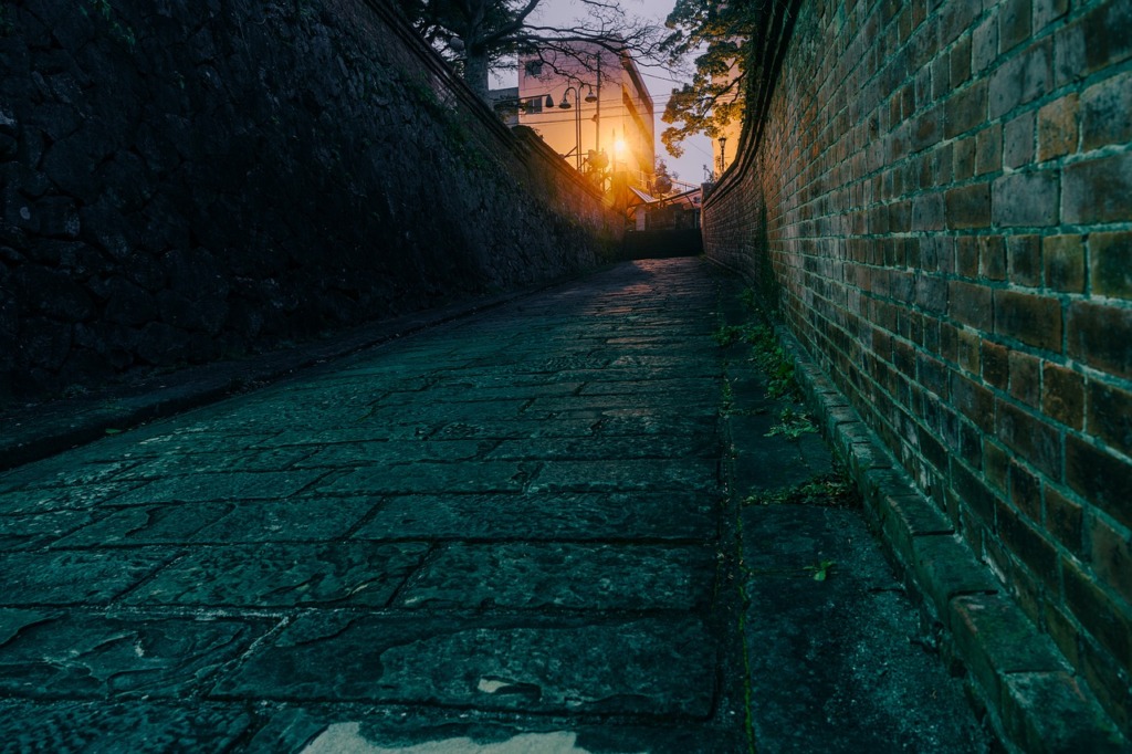 Night View Alley Japan Cobblestone  - Kanenori / Pixabay